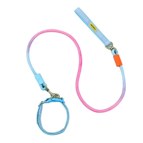 Dog Collar and Leash Set | Blue Dog Collar | Durable Nylon for All Size Dogs Everyday Walks