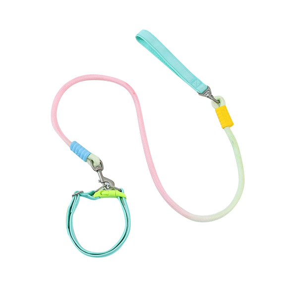Dog Collar and Leash Set Comfortable Thick Strap for All Size Dogs Nylon Dog Collar with Metal Buckle