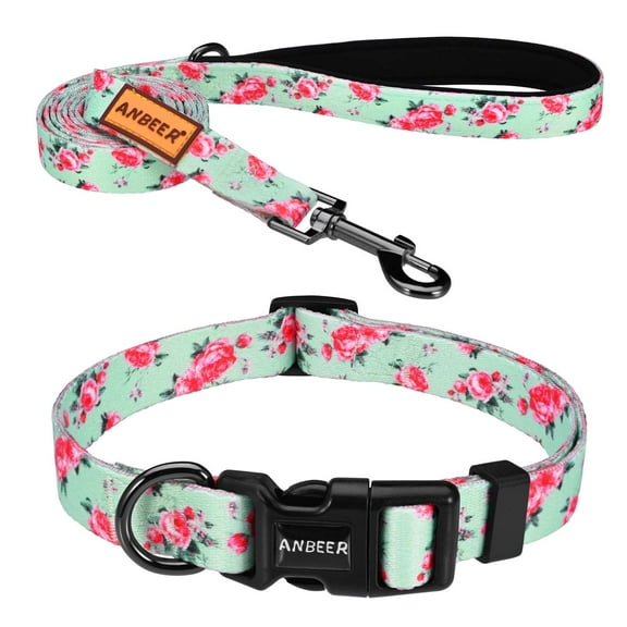 Dog Collar and Leash Set for Small Medium and Large Dogs,Nylon Adjustable Pet Collar with Leash for Outdoor Walking Running Training Green,M