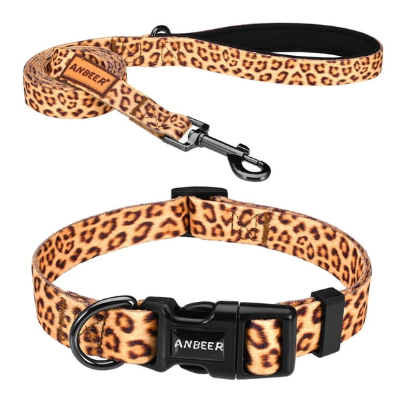 Dog Collar and Leash Set for Small Medium and Large Dogs,Nylon Adjustable Pet Collar with Leash for Outdoor Walking Running Training Yellow,L