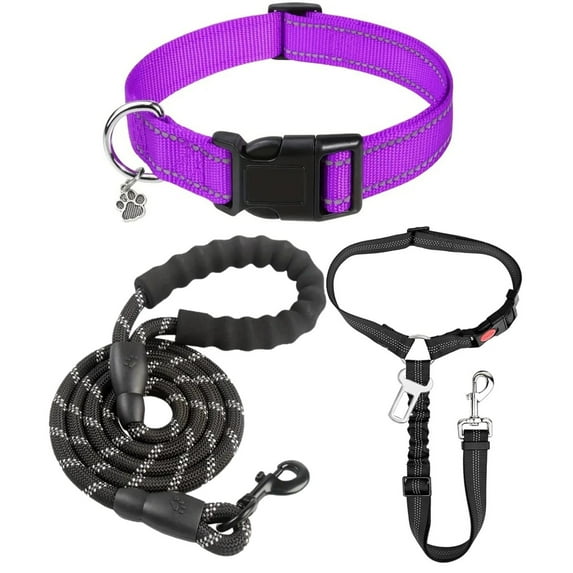 Dog Collar and Leash Set with Safety Seat Belt, Ideal for Walking – Fits Small to X-Large Dog (Purple-S)