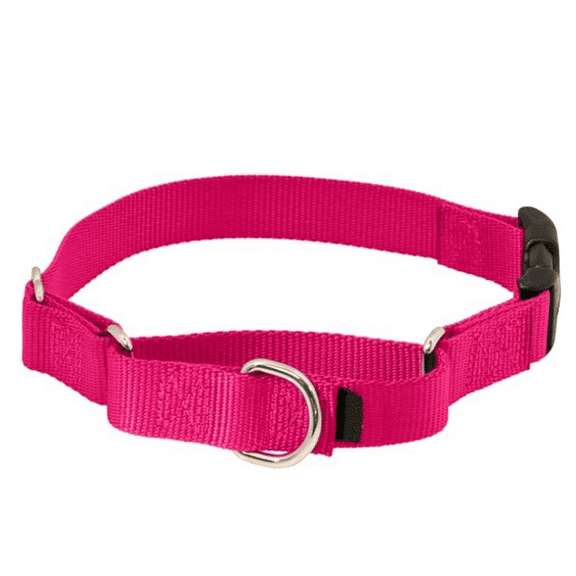 Dog Collar with Quick-Snap Buckle - Petite, 3/8 Inch, Raspberry