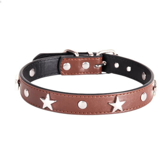 Dog Collar with Stars Studs, Puppy Small Medium Dog Necklace for Kitten Pet Collar Adjustable Length Leather(M)