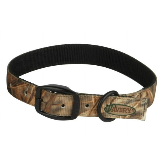 Banded Tandard Collar in Medium Size