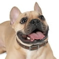 thumbnail image 1 of Dog Collar, 1 of 12