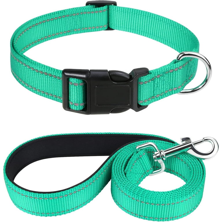 Collar and leash set for puppy 2025
