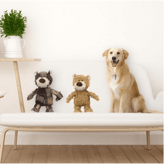 Dog Companion Indestructible Plush Squeaky Dog Toy for Heavy Chewers