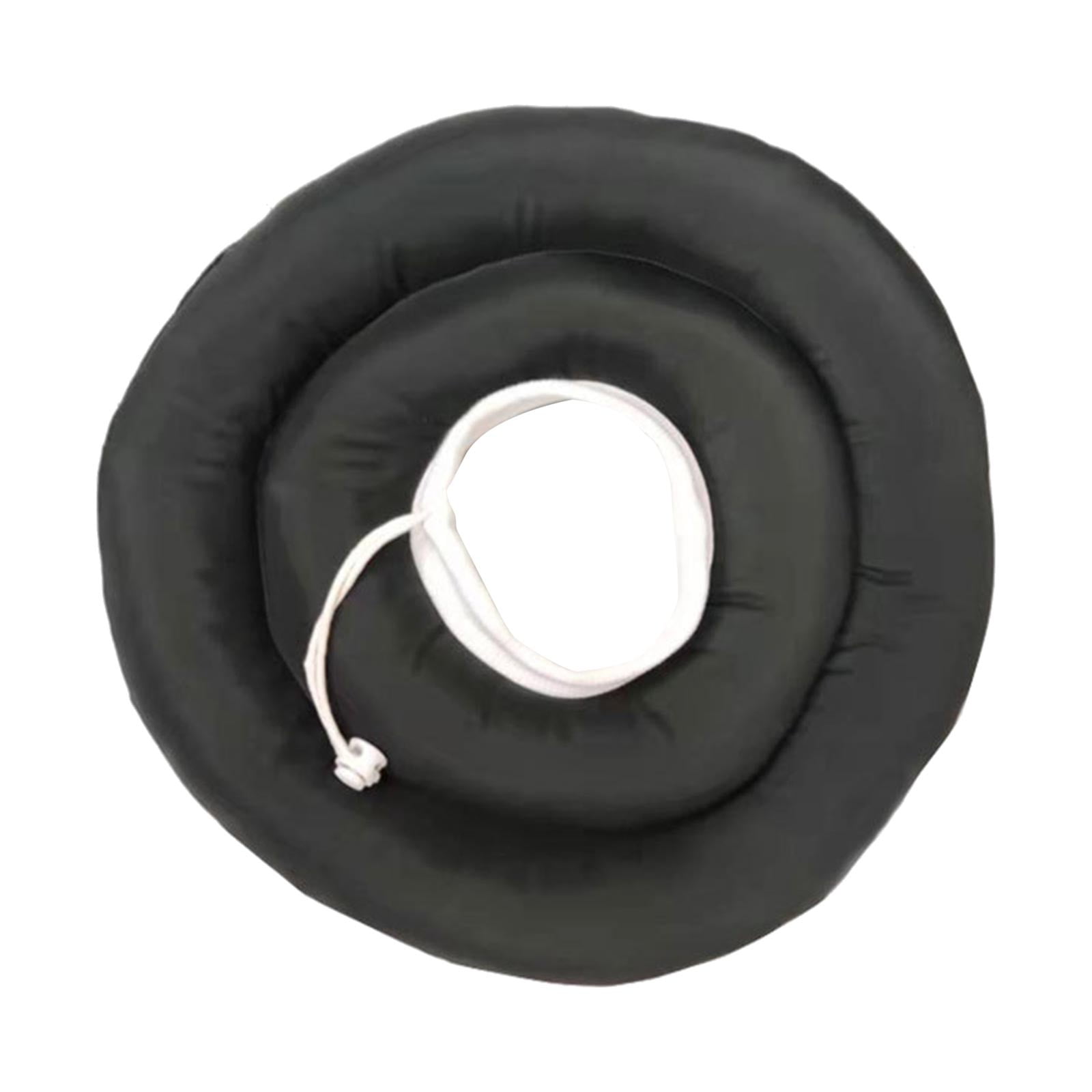 Dog Cone 2023 Graduation Decoration 2023 Graduation Class LED