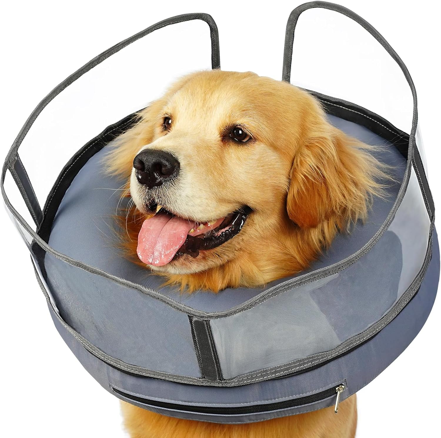 Large dog cone of shame hotsell