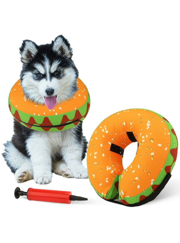 Dog Cones in Dog Health and Wellness