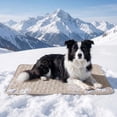 thumbnail image 1 of Dog Cooling Mat, 2026 New Dog Cooling Mat Pad Self-Cooling Pad for Dogs & Cats, Portable Washable Pet Gel Cooling Mat for Summer Outdoor Indoor Home Kennel Crate Cars Use ,Gray,Medium, 1 of 7