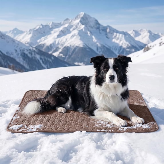 Dog Cooling Mat, 2026 New Dog Cooling Mat Pad Self-Cooling Pad for Dogs & Cats, Portable Washable Pet Gel Cooling Mat for Summer Outdoor Indoor Home Kennel Crate Cars Use ,Brown,X-Small