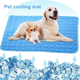 Heated dog blanket walmart sale