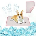 thumbnail image 1 of Dog Cooling Mat Large Self-Cooling Pad for Dogs | Breathable Comfort Pet Blanket | Reusable Cooling Mat for Indoor Outdoor Use | 40x30cm | Blue Gray Pink | Easy Clean | Lightweight Foldable, 1 of 6