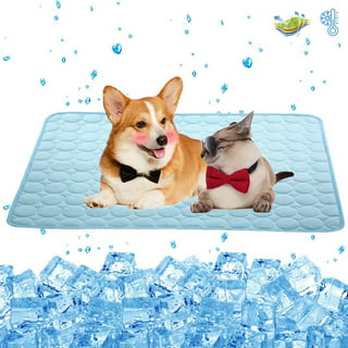 https://i5.walmartimages.com/seo/Dog-Cooling-Mat-Summer-Breathable-Pet-Cat-Self-Cooling-Pad-Folding-Chair-Floor-Mat-Multi-Size-for-Small-Medium-Large-Dogs-Cats_9daac6d4-2345-4ae2-8087-d559114a1fcd.576f514b9060de98b3b0eaae824e786d.jpeg?odnHeight=320&odnWidth=320&odnBg=FFFFFF