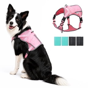 Dog Cooling Vest Harness for Medium Large Dogs, Dry-Freeze Ice Pack Cooling Vest with 4 Reusable Ice Packs, Breathable Summer Dog Harness with Reflective Strips