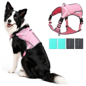 Dog Cooling Vest for Medium and Large Dogs with 4 Reusable PCM Cold Source,Up to 4-6 Hours, Breathable UPF 50 Lightweight Dog Vest for Walks, Hiking and Outdoor Adventures