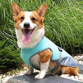 Dog Cooling Vest, Sun Protection Cooling Pet Shirt Harness with Zipper & Leash Ring, Adjustable Breathable Summer Quick Dry Clothes for Hot Weather Small Medium Large Dogs