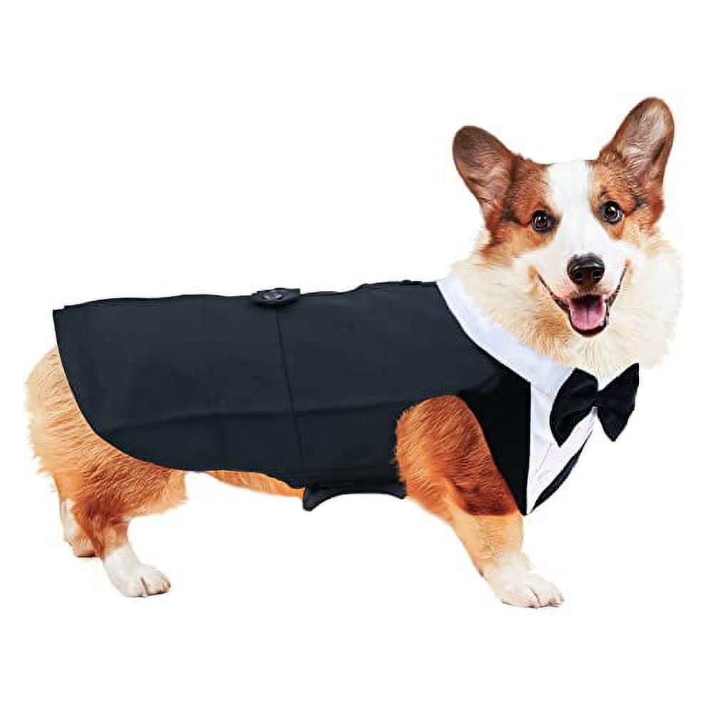 Dog Costumes for Medium Dogs Halloween Costumes for Dogs Dog Tuxedo for Large Dogs Halloween Dog Dachshund Costumes Dog Suit and Tie Tuxedo for Dogs Tux for Dogs Dog Tuxsuit for Dogs Dog Suits in Bahr...