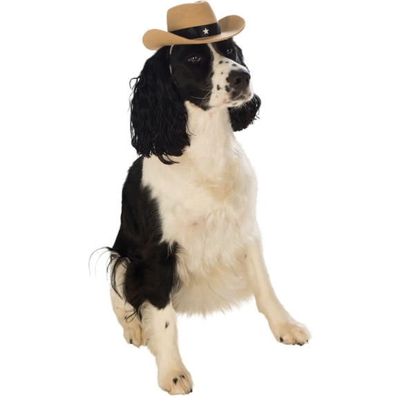 Dog Cowboy Hat Pet Brown Costume