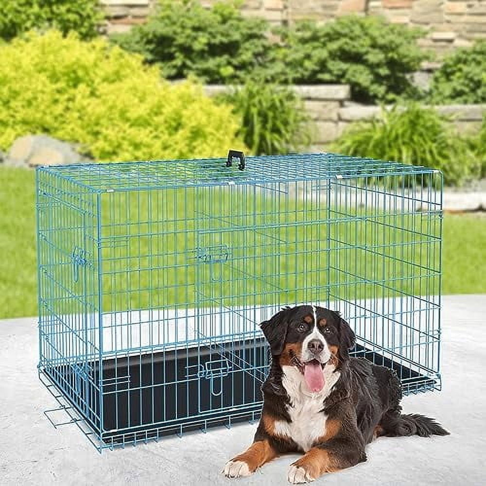 Picture Idea: Dog Crate 48 Blue Foldable Metal Kennel With Double Doors