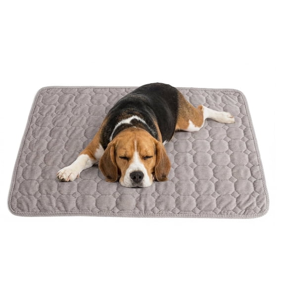 Dog Crate Bed Dog Crate Pad Washable Dog Bed Mat for Crate Mats for Dog Cage Mat Dog Kennel Pad Dog Kennel Mat Dog Crate Liner for Small Dogs and Cats, 24" x 18"