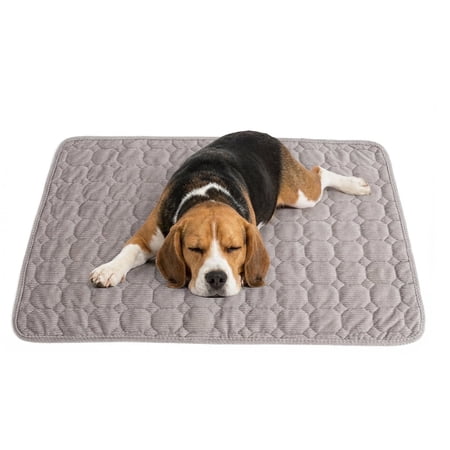 Dog Crate Mat,30 x 20 inch Dog Kennel Mat with Anti-Slip Bottom, Washable Soft Corduroy Dog Mat with Three-dimensional Texture and Durable Fine Hemming