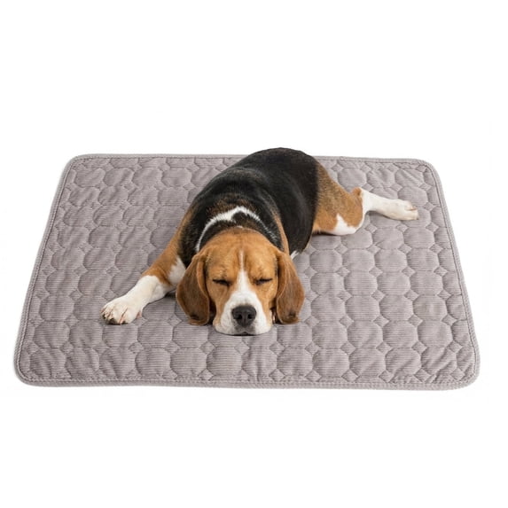 Large Dog Crate Mat,36 x 28 inch Dog Kennel Mat with Anti-Slip Bottom, Washable Soft Corduroy Dog Mat with Three-dimensional Texture and Durable Fine Hemming