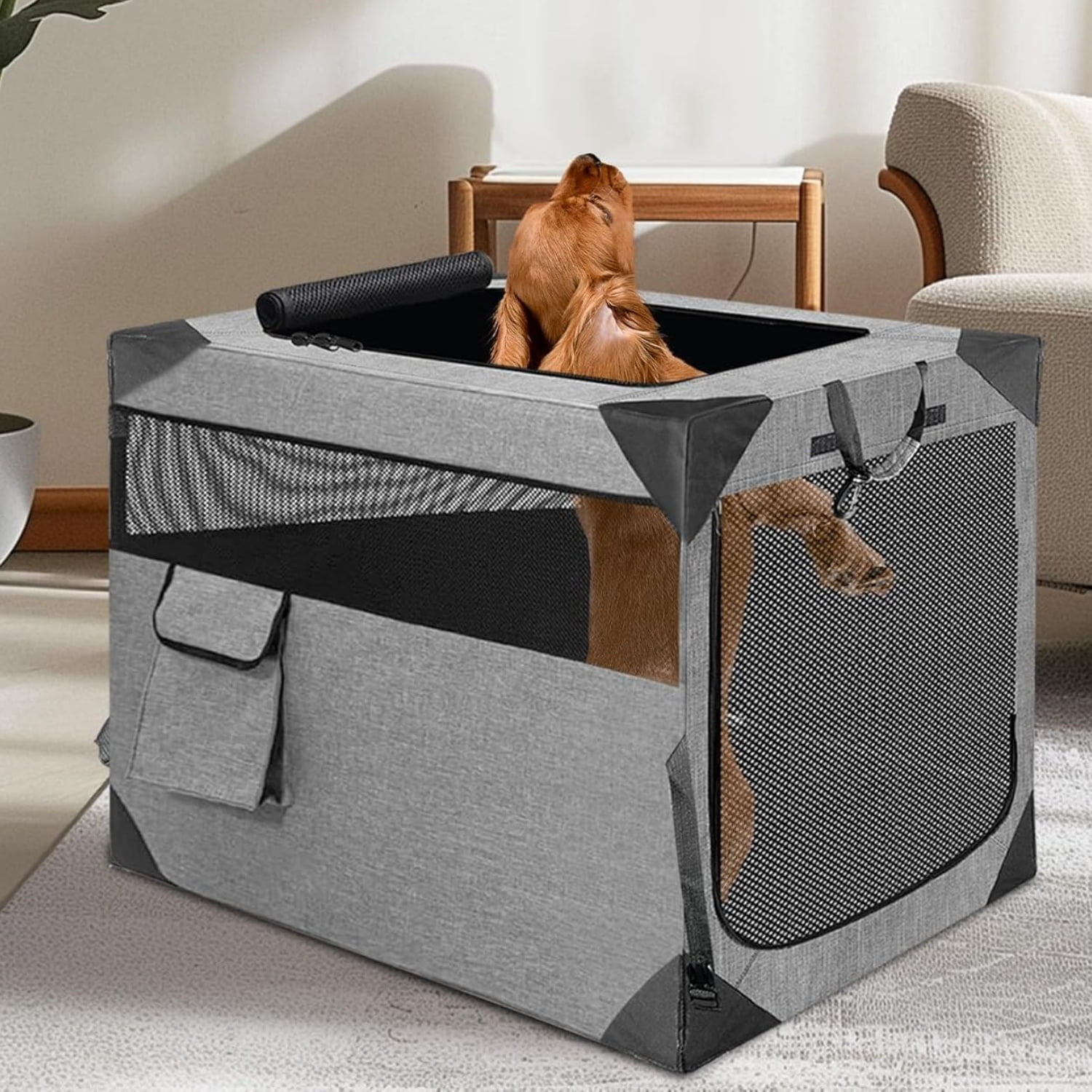 Dog Crate, Collapsible Soft Travel Crate for Large Dogs, Indoor & Outdoor Portable Pet Kennel with Chew-Proof Mesh Window (Dark Gray, 30" L x 21" W x 21" H)