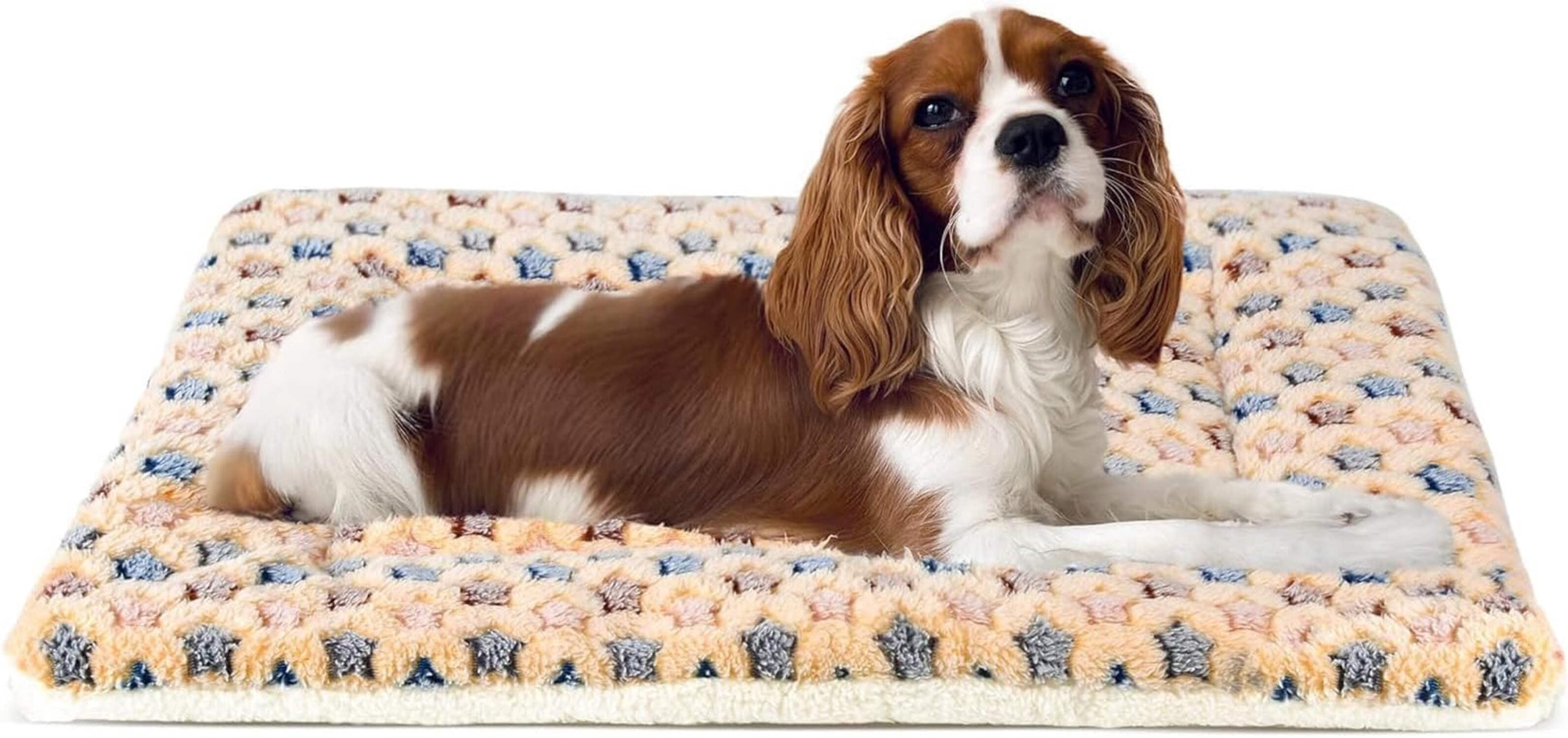 Dog Crate Pad - Ultra Soft Pet Bed with Cute Star Print, Washable Mat ...