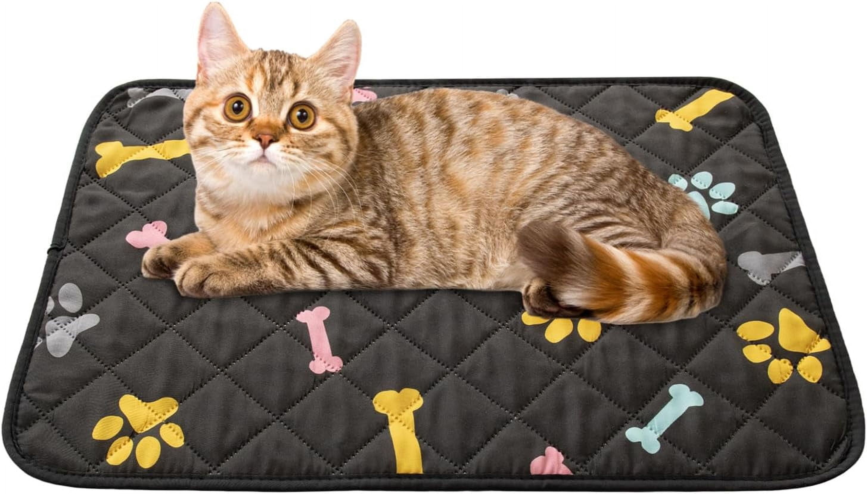 Dog Crate Pads Dog Pee Pads Rugs Washable Dog Pads, Non Slip Puppy Pee Pads for Small Dogs, Waterproof Pet Pad Rug, Dog Whelping Training Pads for Dogs, 2 Pieces, 20"x30"