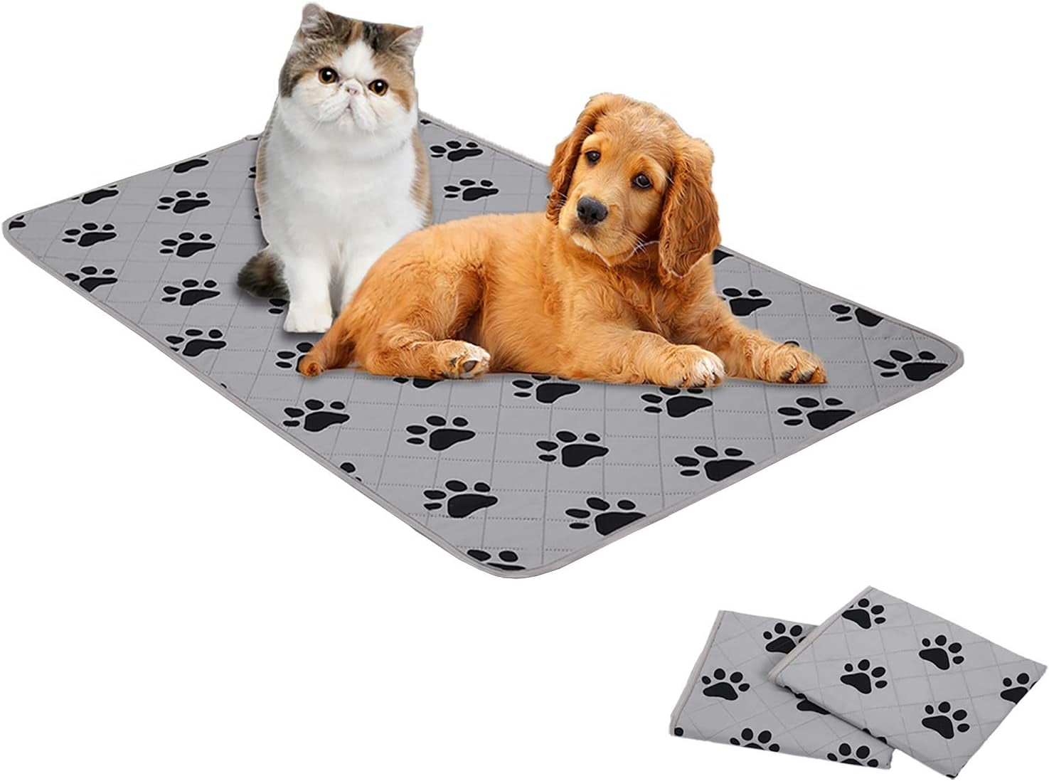 Dog Crate Pads Dog Pee Pads Rugs Washable Dog Pads, Non Slip Puppy Pee Pads for Small Dogs, Waterproof Pet Pad Rug, Dog Whelping Training Pads for Dogs, 2 Pieces, 20"x30"