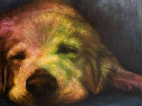 Dog Day Afternoon Canvas Art - Walt Johnson (22 x 28)