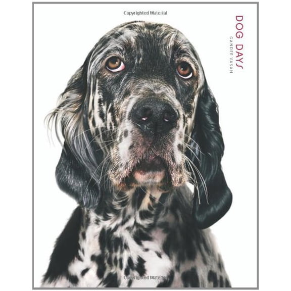 Pre-Owned Dog Days Hardcover