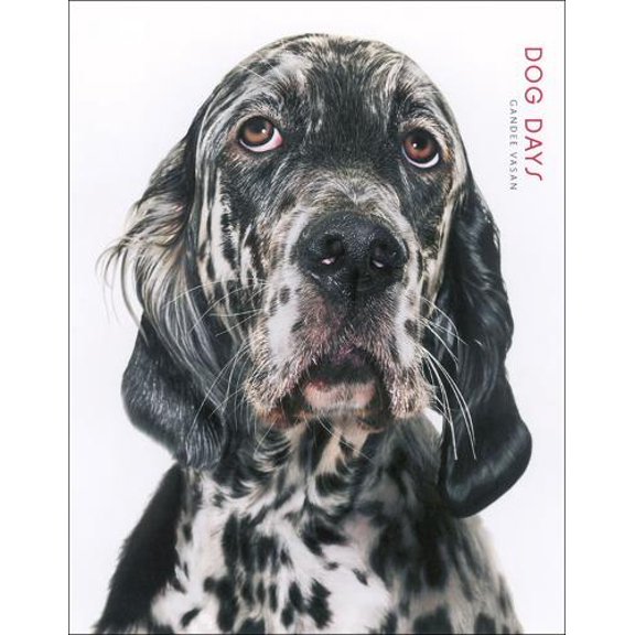 Pre-Owned Dog Days (Hardcover)