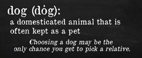 Dog Definition Canvas Art - Anna Quach (10 x 20)