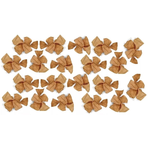 Dog Dental Health Bulk Rawhide 100 Chip Chew Packs Beef Chicken or Natural (Chicken)