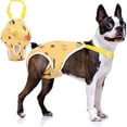 thumbnail image 1 of Dog Diaper Suspenders Female, Washable Dog Panties for Dogs in Heat, Escape Proof Dog Underwear Diapers, Reusable Pet Sanitary Pantie for Small Medium Girl Dogs Yellow XL, 1 of 5