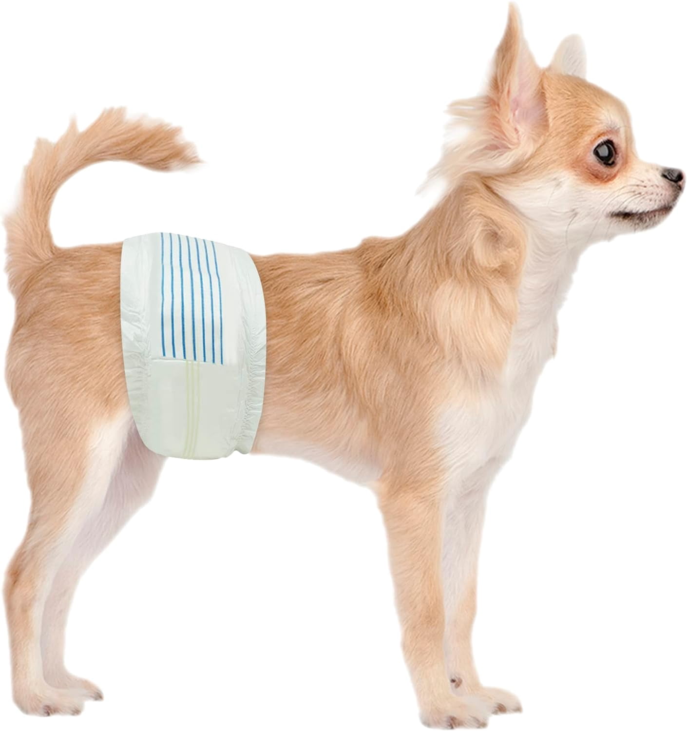 Dog Diapers Male X-Small (Waist 9-14 in) Super Absorbent - 50 Count Disposable - Doggie Diapers with Wetness Indicator - Adjustable Male Dog Wraps - Ideal for Incontinence/Training