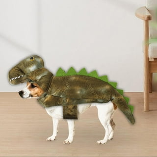 Dog dinosaur costume xl hotsell
