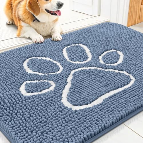 Dog Door Mat for Muddy Paws, Absorbent Dirt Trapper Non Slip Quick Dry Washable Chenille Mat for Mud Dogs, Entry Rug for Indoor and Outdoor (30x20 Inches, Airy Blue and White)
