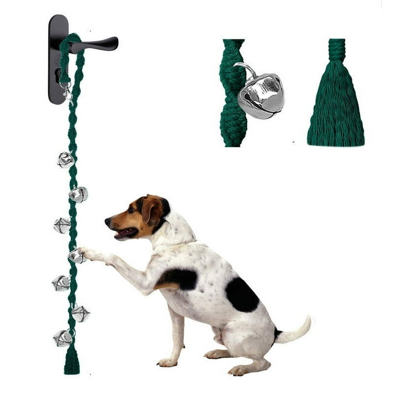 How to potty train a dog with a bell hotsell