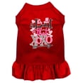 thumbnail image 1 of Dog Dress, Pet Dog  Cat Dress Screen Printed, "All About That XOXO", 1 of 11