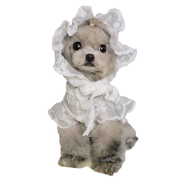 Dog Dress with Matching Hat Lace Dress Skirt Costume for Small Dog Pet Apparel