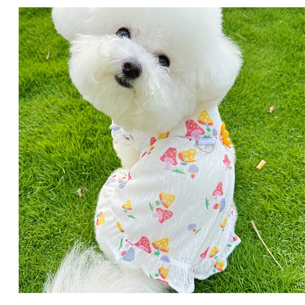 Dog Dresses for Small Dogs Girl Female Dog Clothes Martinique | Ubuy Dog Dresses for Small Dogs Girl Female Dog Clothes Martinique | Ubuy
