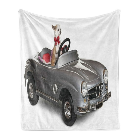 Dog Driver Soft Flannel Fleece Throw Blanket, Chihuahua Puppy in the Car with Bow Tie Fashion Auto First Studio Shot, Cozy Plush for Indoor and Outdoor Use, 60" x 80", Multicolor, by Ambesonne
