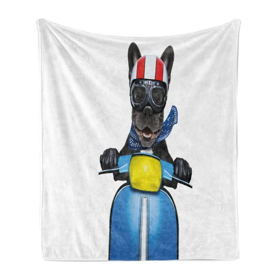 Dog Driver Soft Flannel Fleece Throw Blanket, Quirky French Bulldog on a Scooter Goggles Rocker Puppy, Cozy Plush for Indoor and Outdoor Use, 70" x 90", Charcoal Grey Blue, by Ambesonne