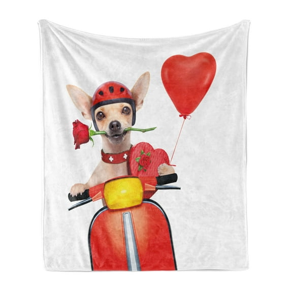 Dog Driver Soft Flannel Fleece Throw Blanket, Romantic Chihuahua with Balloon Rose Flower Valentines Love Date Celebration, Cozy Plush for Indoor and Outdoor Use, 70" x 90", Multicolor, by Ambesonne