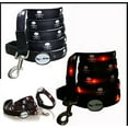 thumbnail image 1 of Dog-E-Glow Collar & Leash with LED Light Up Lights For Dogs ~Skulls ~Small, 1 of 2