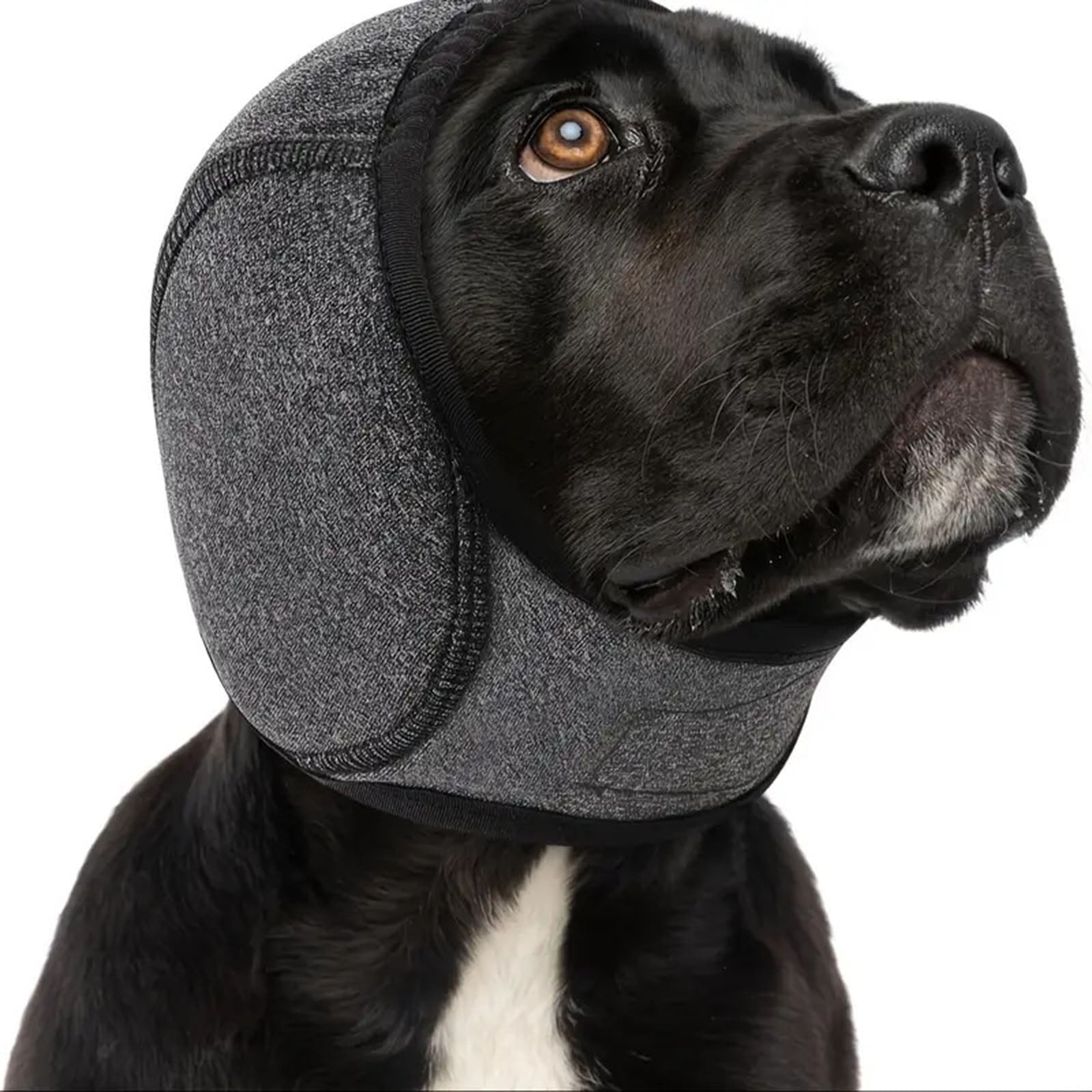 Dog Ear Covers For Bath